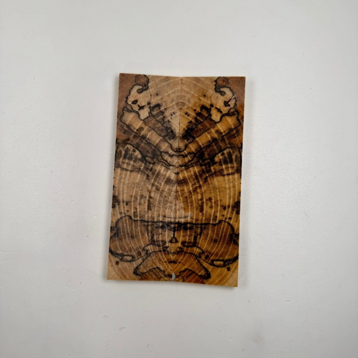 Private Reserve Spalted Hackberry - RockSolid Scales -