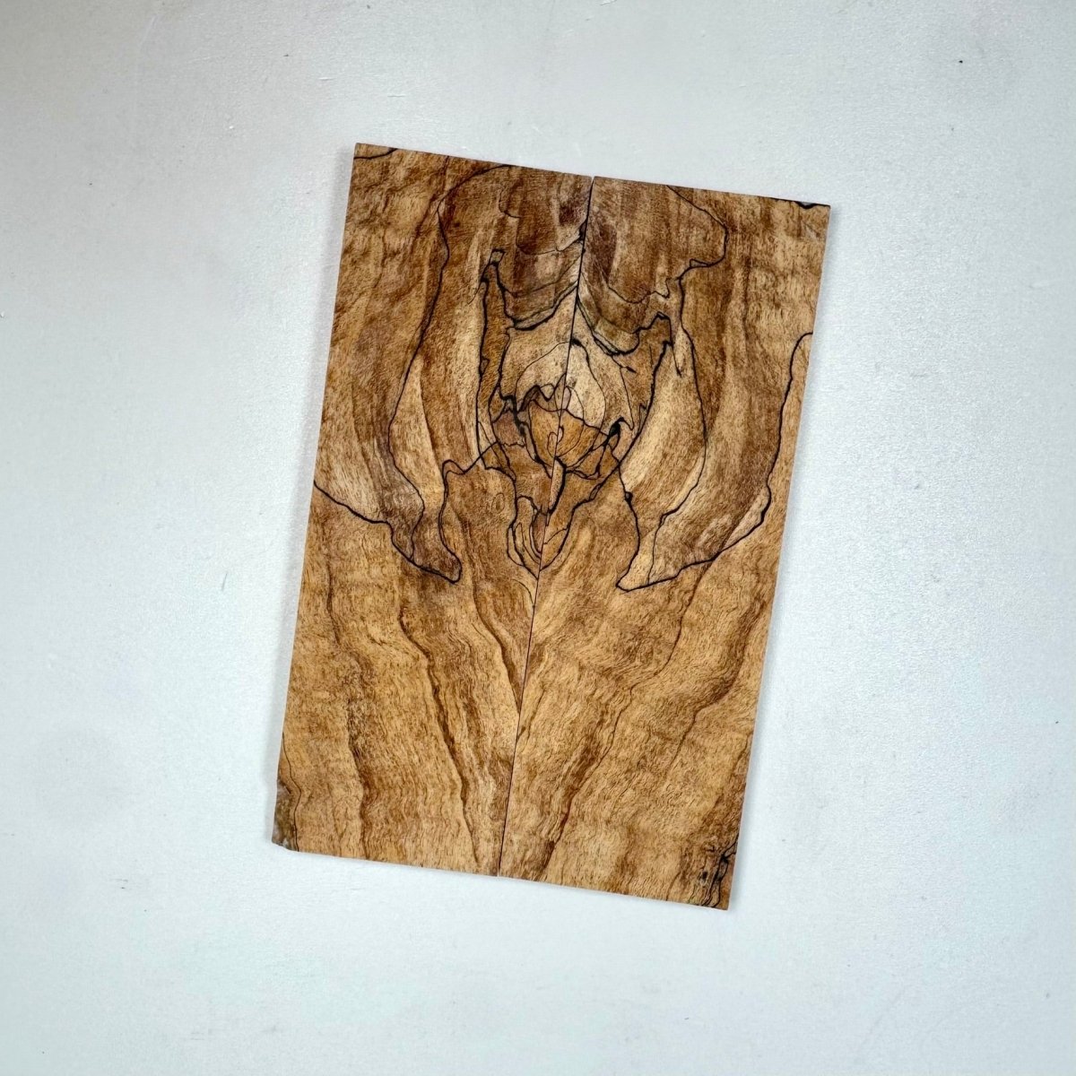 Spalted Curly Maple - RockSolid Scales -