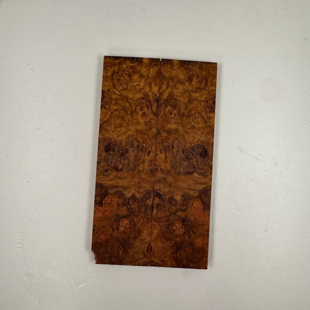 Sunset Orange Maple Burl - THIN - RockSolid Scales -