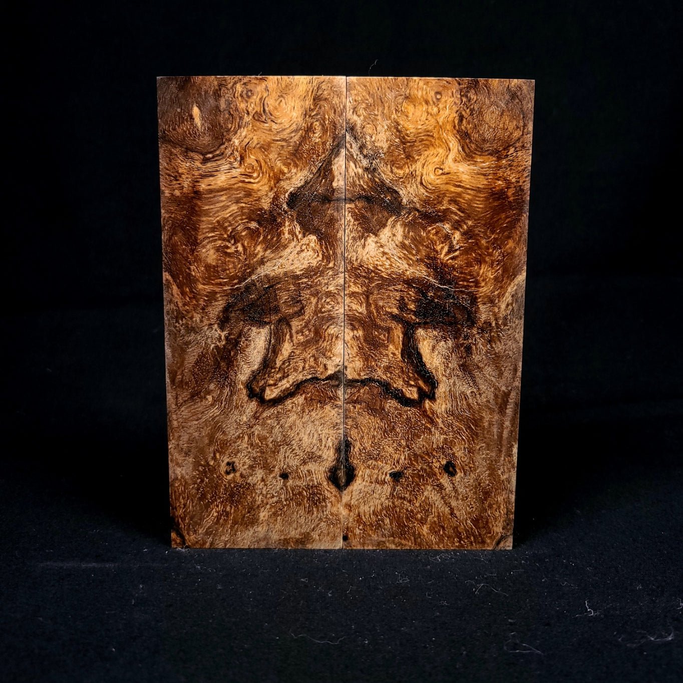 #1030 - Spalted Myrtle Burl - RockSolid Scales -