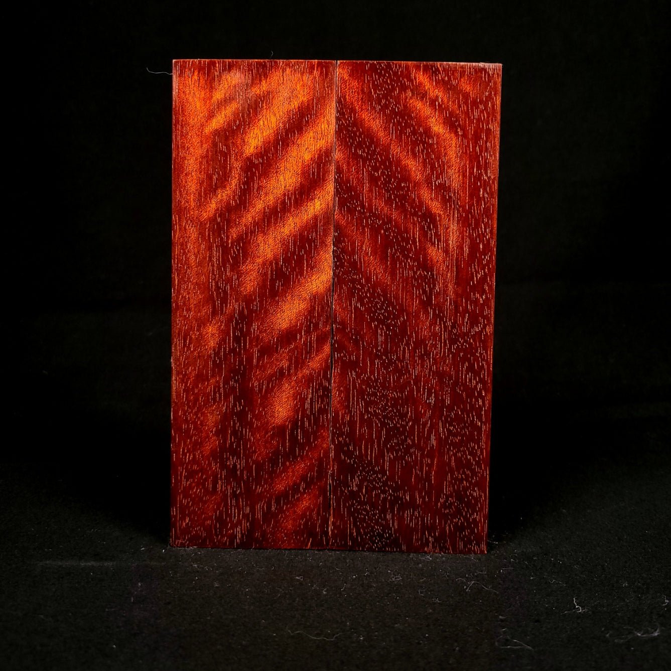 #1031 - Beeswing Bloodwood - RockSolid Scales -