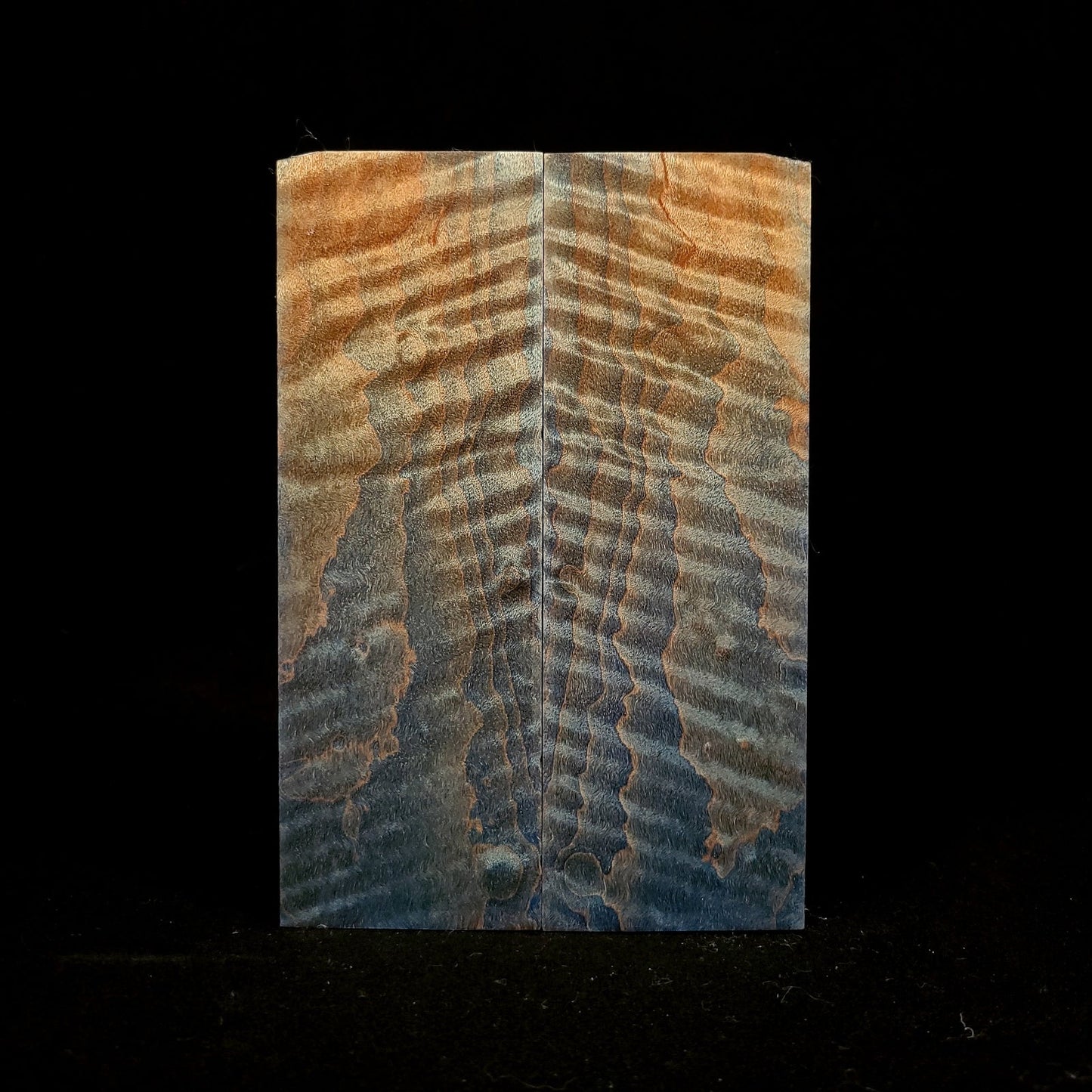 #1034 - Sky Blue Fade Curly Maple - RockSolid Scales -
