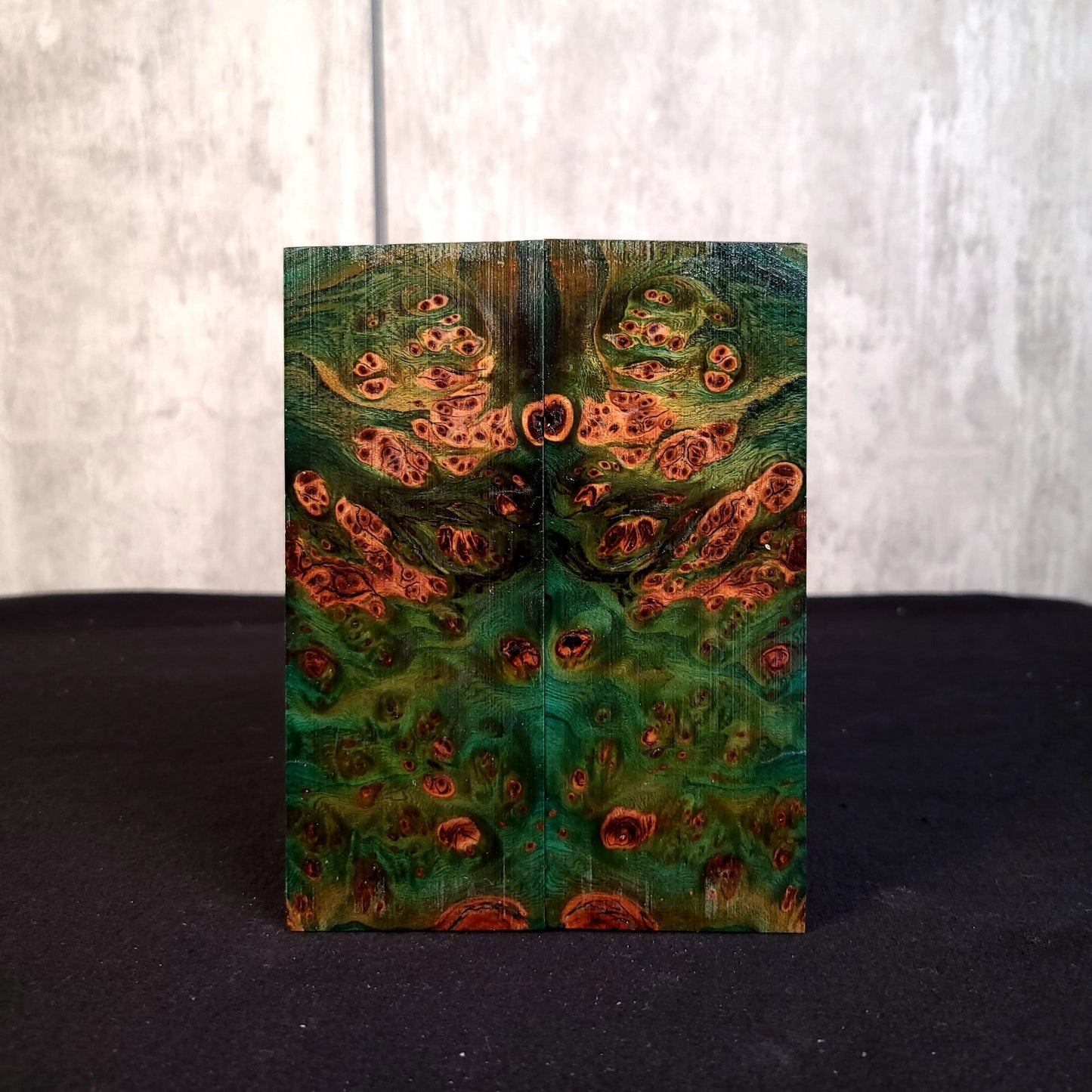 #2054 - Peacock Green Red Elm Burl - RockSolid Scales -