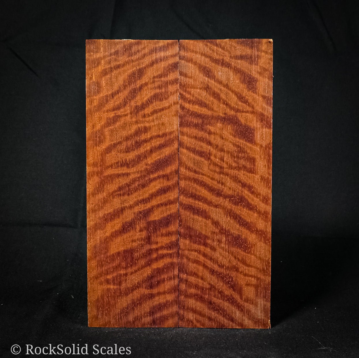 #2173 - Curly Paduak - RockSolid Scales -