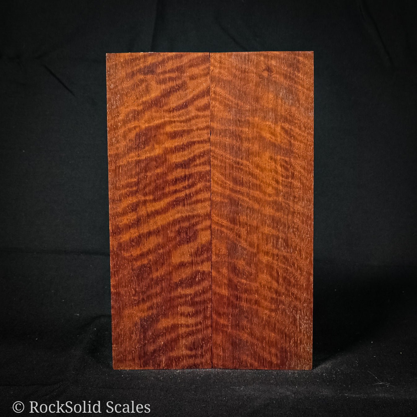 #2275 - Curly Paduak - RockSolid Scales -