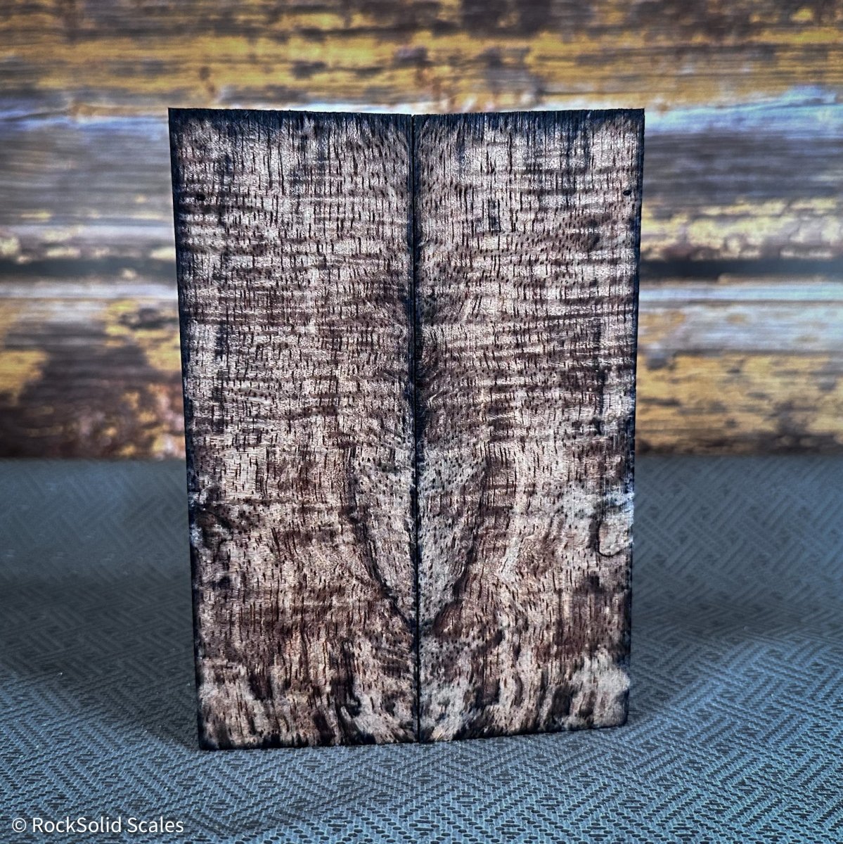 #2388 - Smoke Grey Curly Mango - K&G Stabilized - RockSolid Scales -