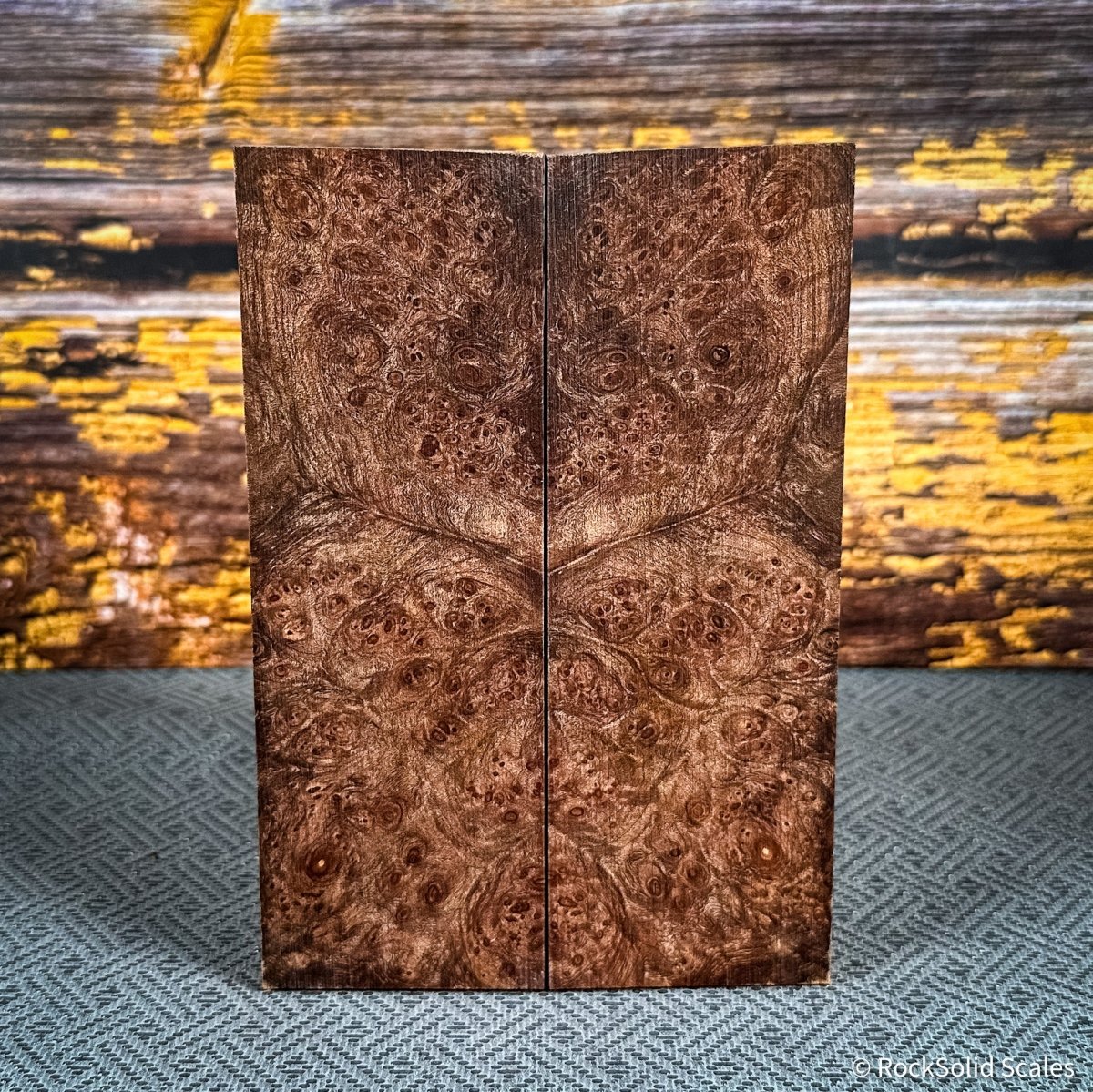 #2473 - Maple Burl - Bargain Bin - RockSolid Scales -