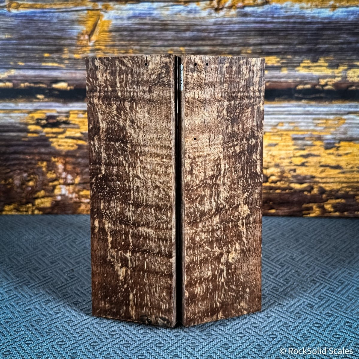 #2475 - Spalted Curly Mango - Bargain Bin - RockSolid Scales -