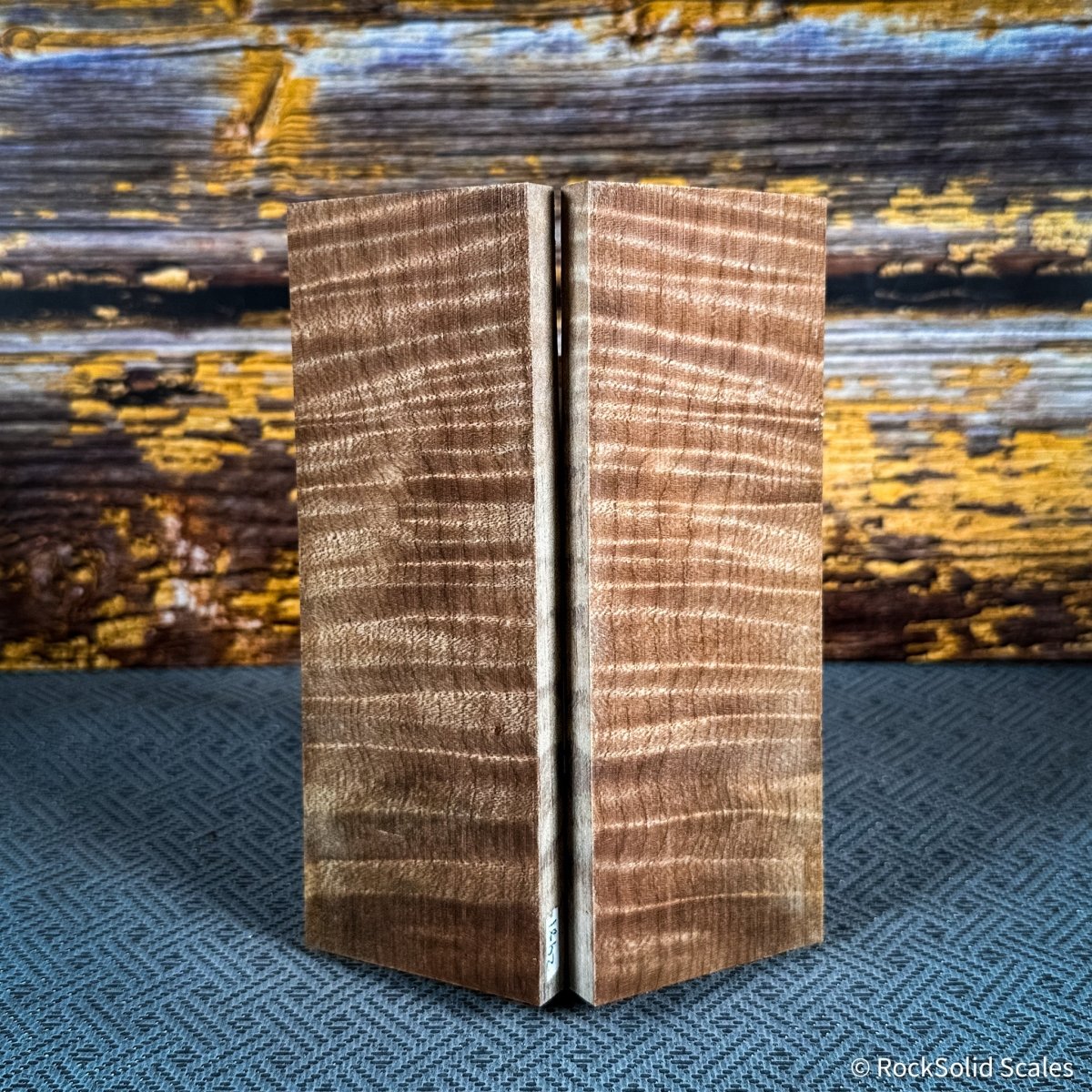 #2481 - Curly Maple - RockSolid Scales -