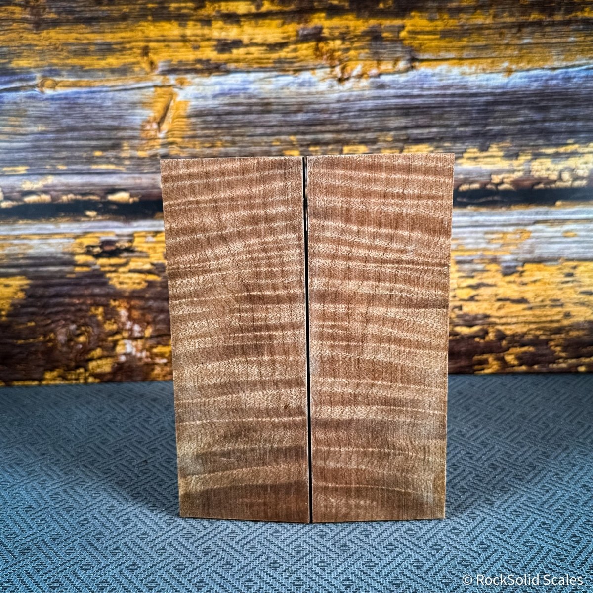 #2481 - Curly Maple - RockSolid Scales -
