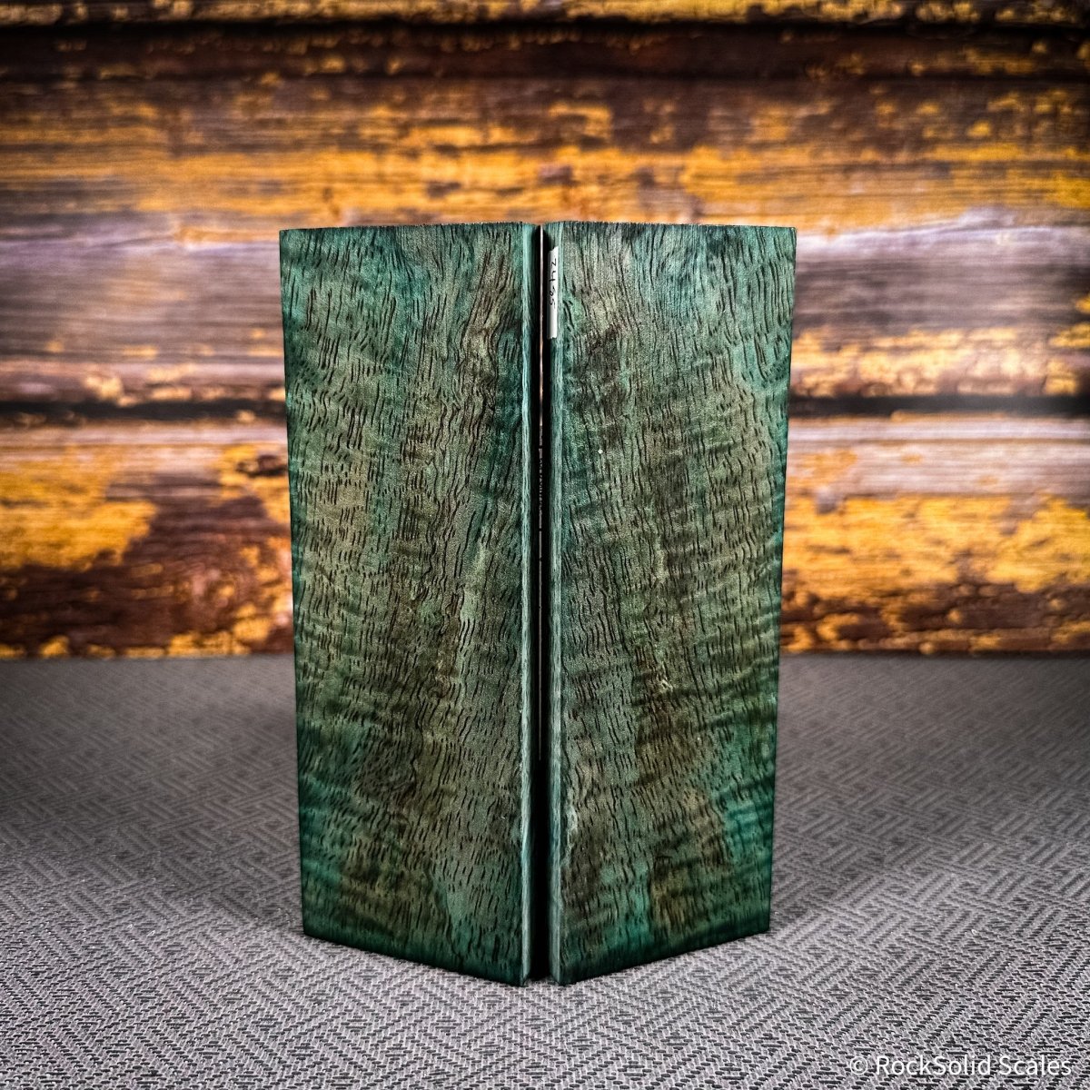 #2485 - Teal Curly Mango - RockSolid Scales -