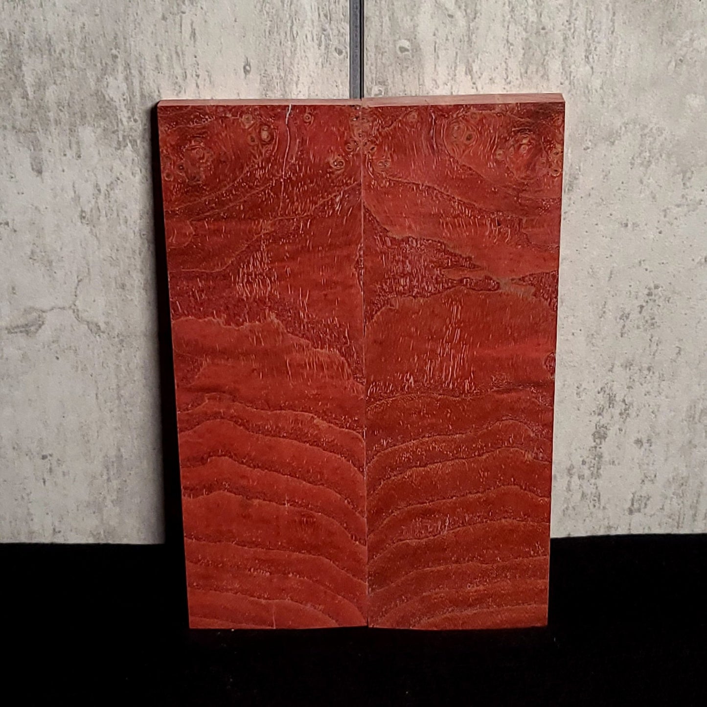 #772 Blood Orange Curly Tamo Ash - RockSolid Scales -