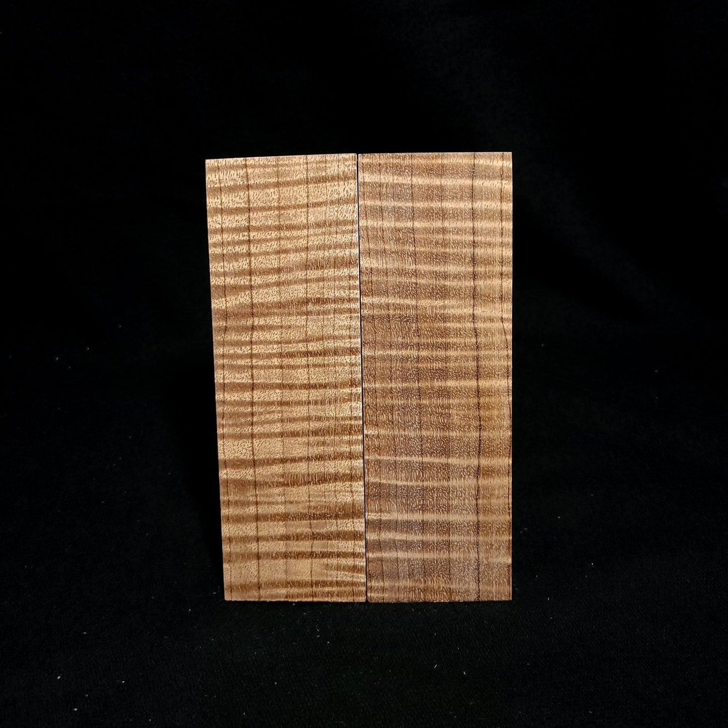 #795 - Intense Curly Myrtle - K&G Stabilized - RockSolid Scales -