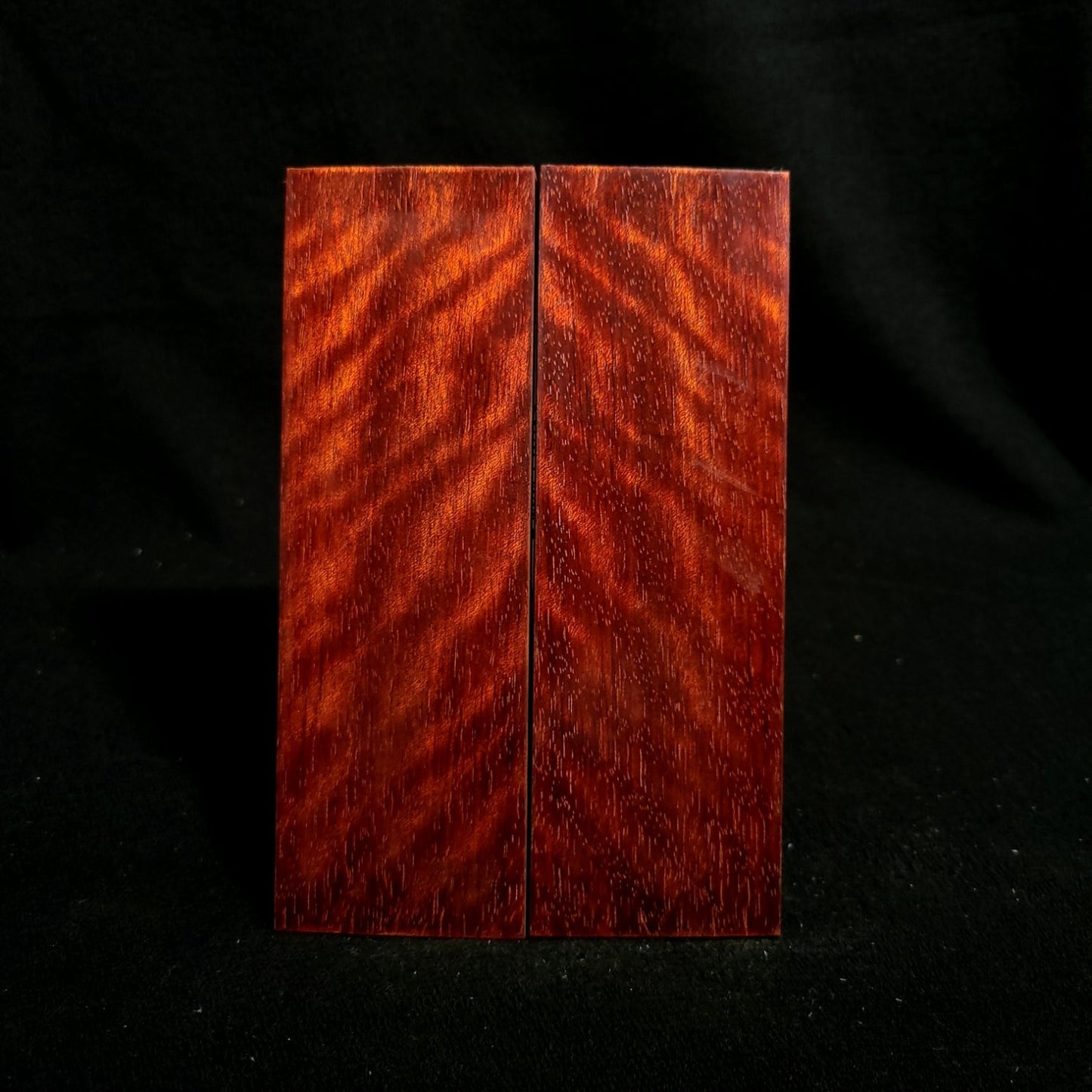 #830 - Beeswing Figure Bloodwood - RockSolid Scales -