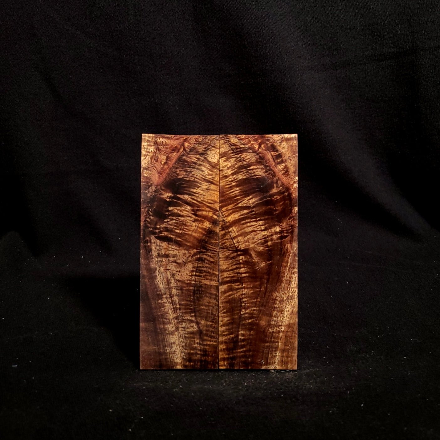 #895 - Curly Feather Koa - K&G Stabilized - RockSolid Scales -