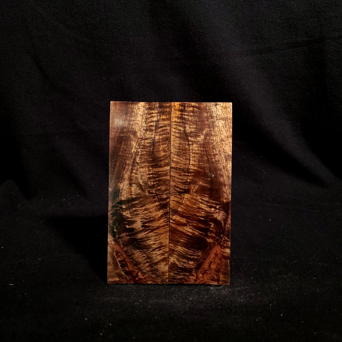 #895 - Curly Feather Koa - K&G Stabilized - RockSolid Scales -