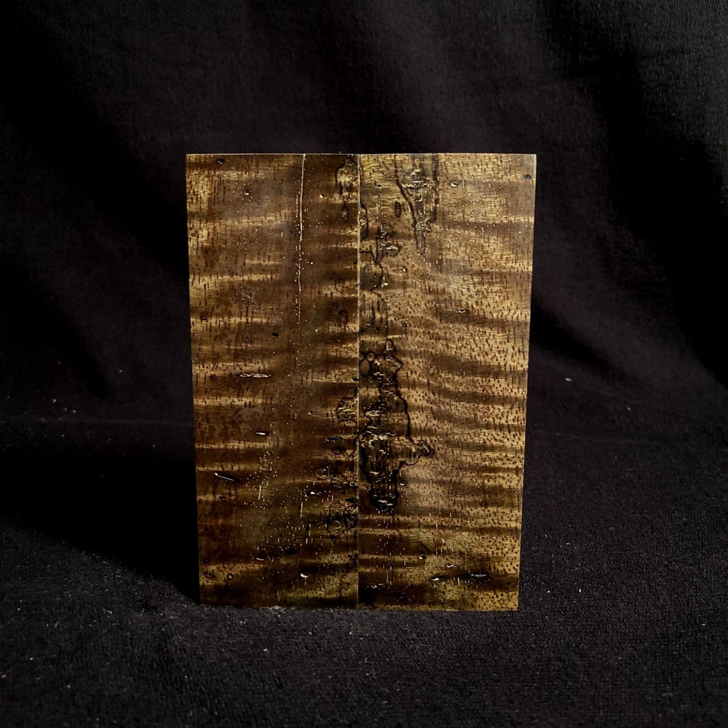 #901 - OD Green Curly Spalted Mango - *Bargain Bin* - RockSolid Scales -