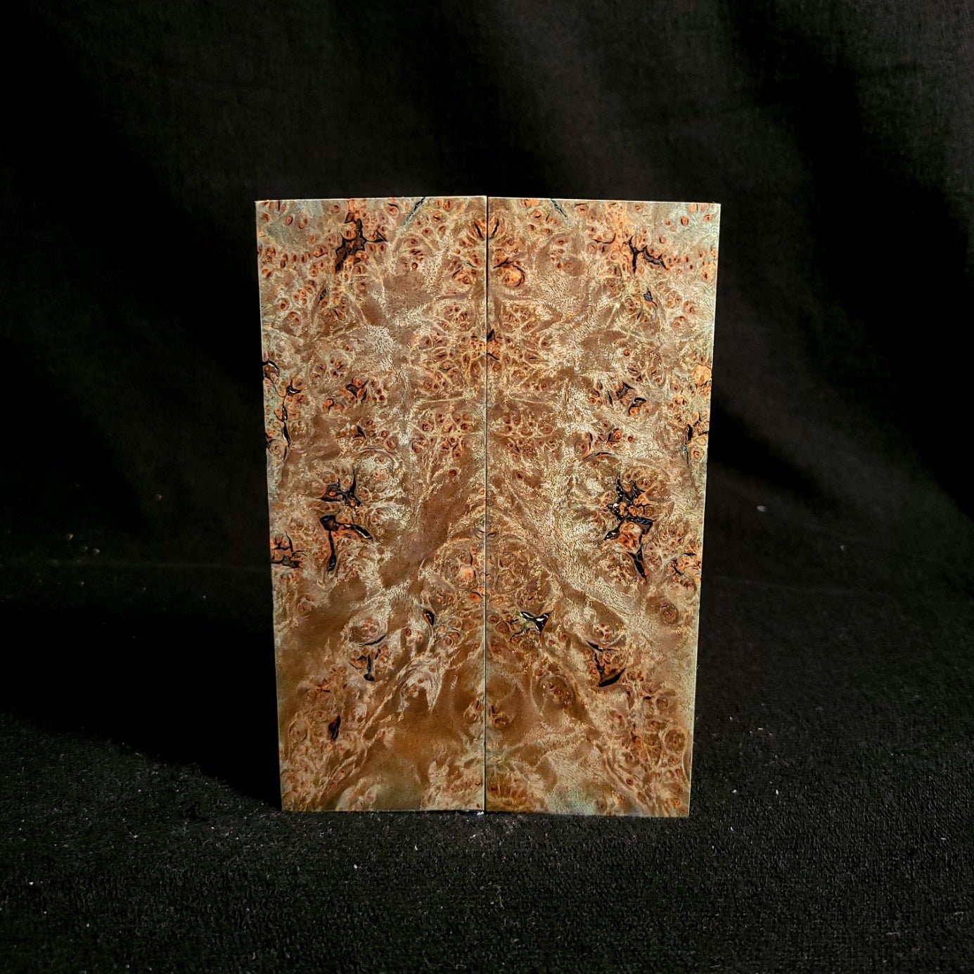 #904 - Steel Blue Spalted Maple Burl - RockSolid Scales -