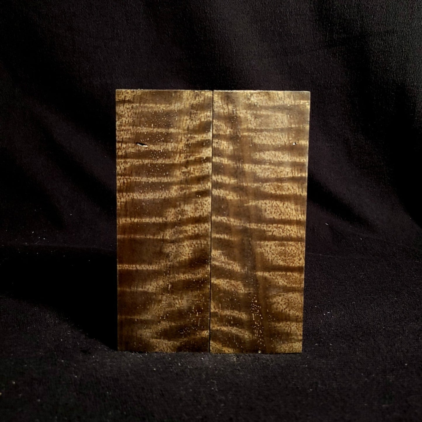 #910 - OD Green Curly Mango - RockSolid Scales -