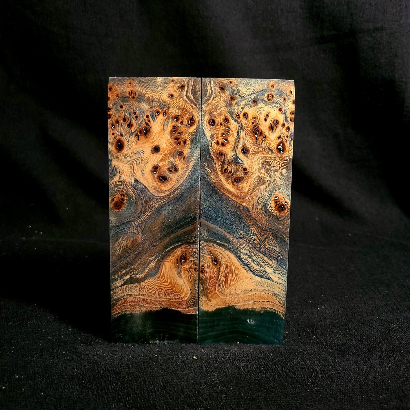 #912 - Steel Blue Red Elm Burl - RockSolid Scales -