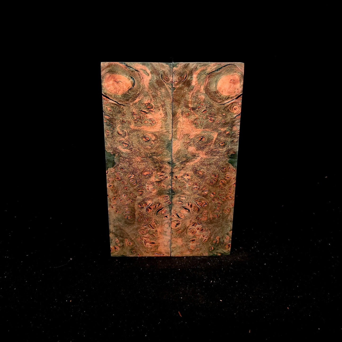 #962 Peacock Green Maple Burl *Bargain Bin* - RockSolid Scales -