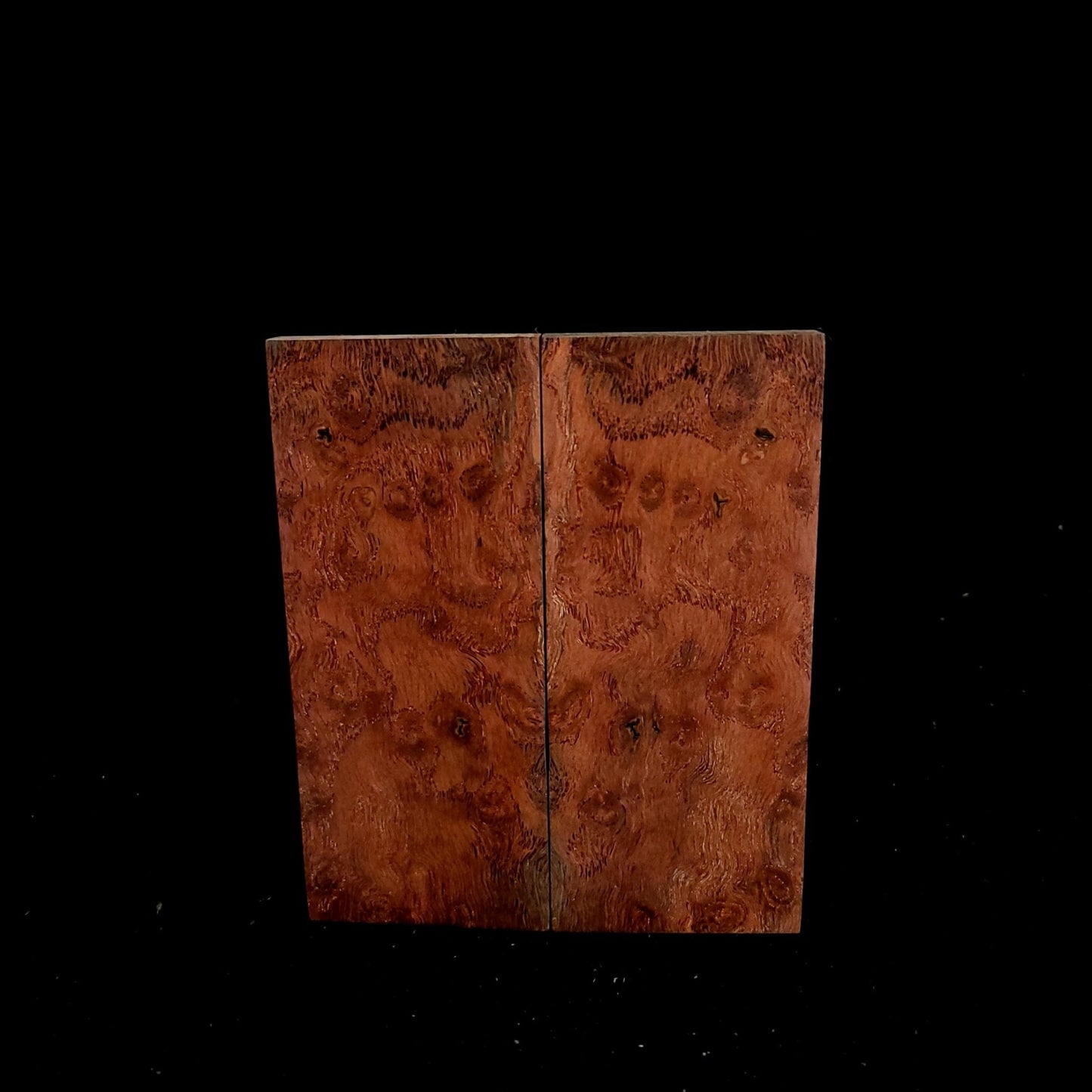 #978 Blood Orange Spaghetti-Figure White Oak Burl - RockSolid Scales -