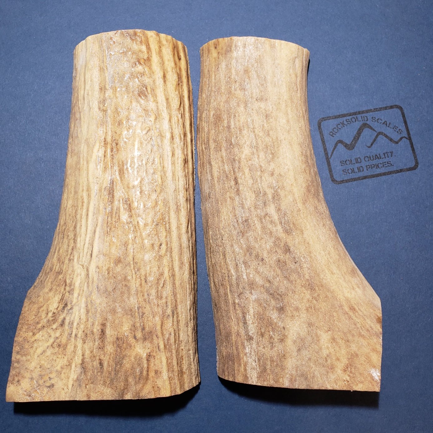EA1 - Stabilized Elk Antler - RockSolid Scales -