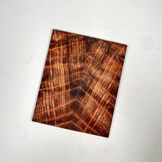 Exhibition Grade Dark Curly Redwood - RockSolid Scales - 