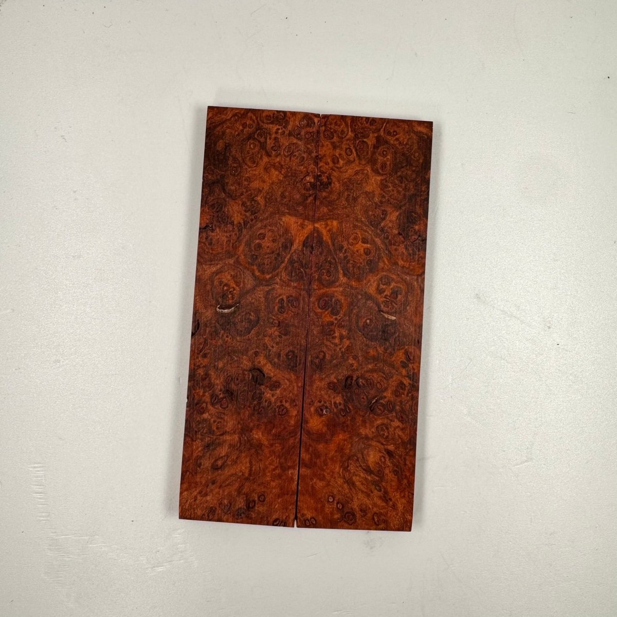 Mandarin Orange Maple Burl - THIN - RockSolid Scales - 