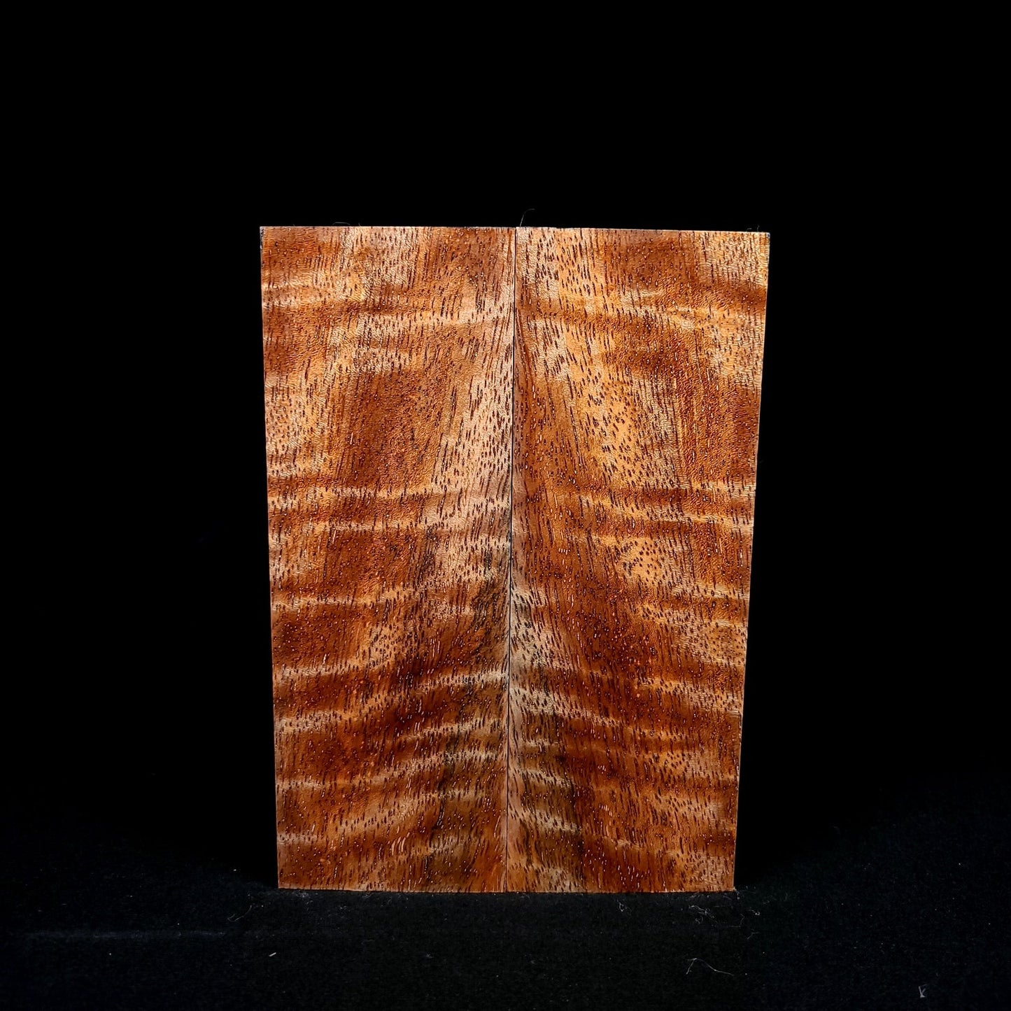 #1003 - Curly Mango - RockSolid Scales -