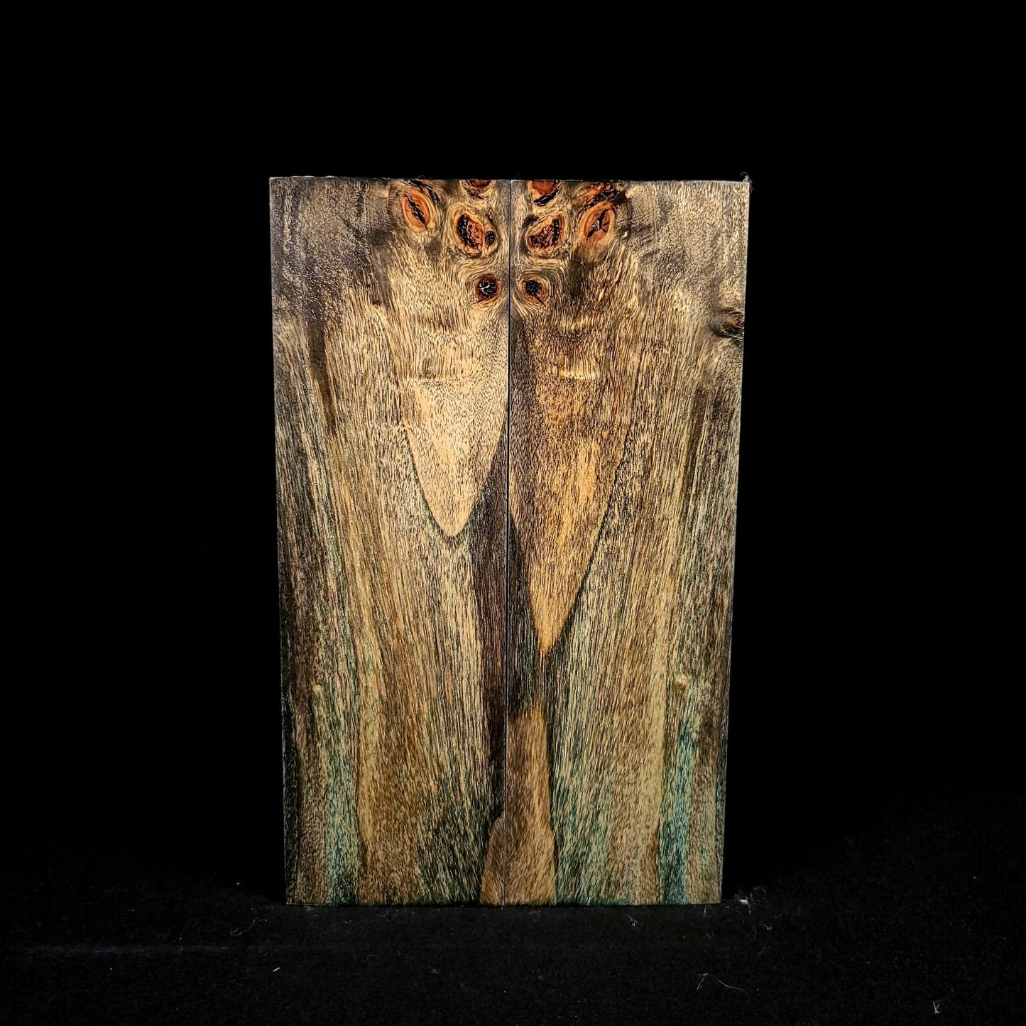 #1005 - Peacock Green and Black Dyed Black Poplar Burl *BARGAIN BIN* - RockSolid Scales -