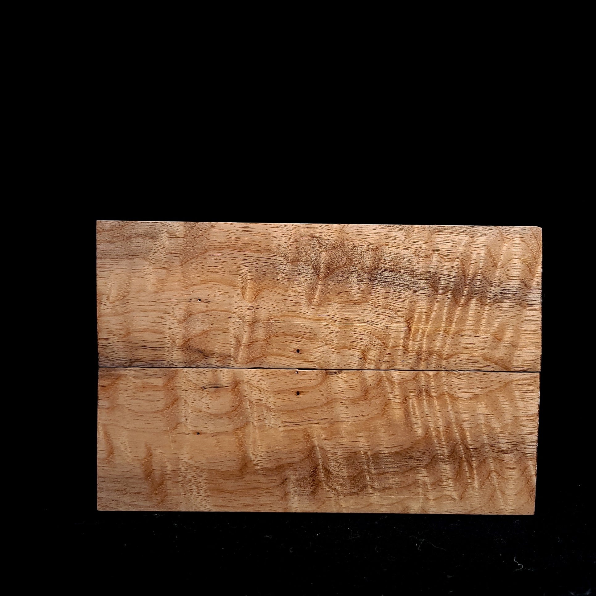 #1023 - Curly Myrtle - RockSolid Scales -