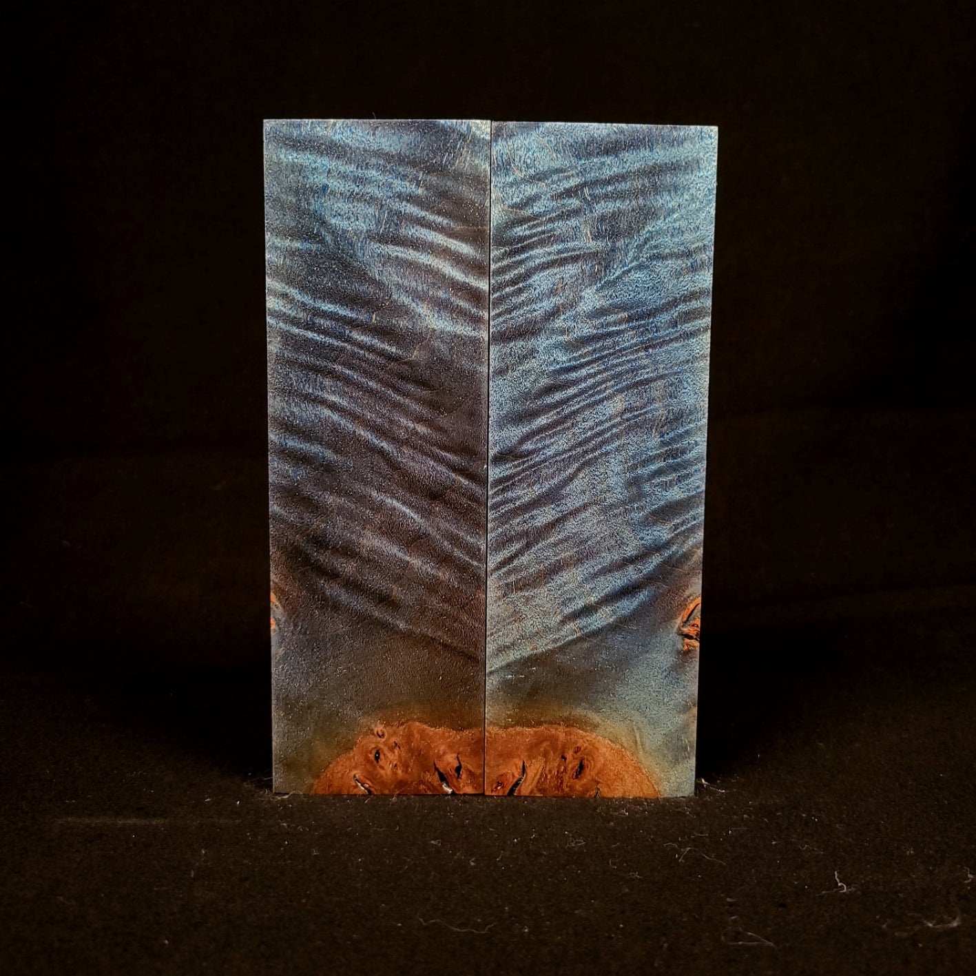 #1032 - Tru-Blue Curly Maple - RockSolid Scales -