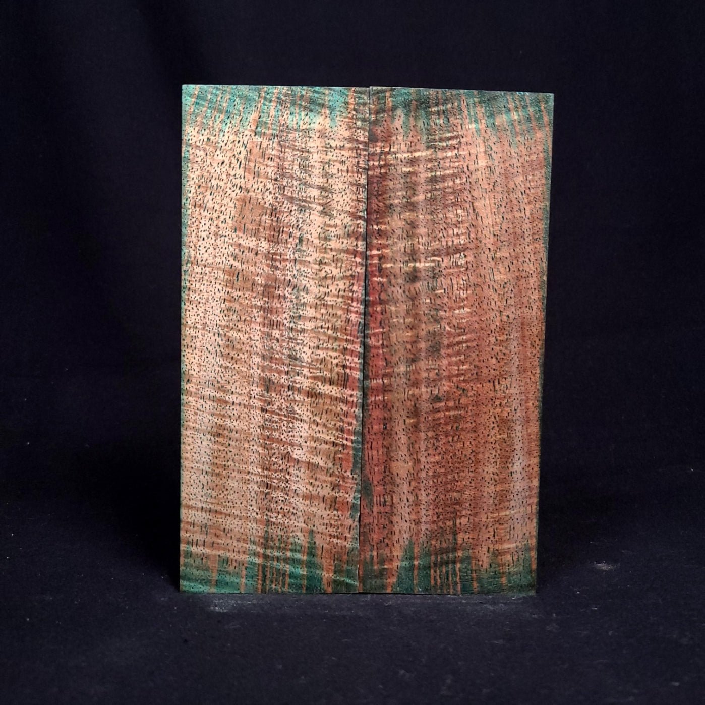 #1044 - Peacock Green Silver Wattle - RockSolid Scales -