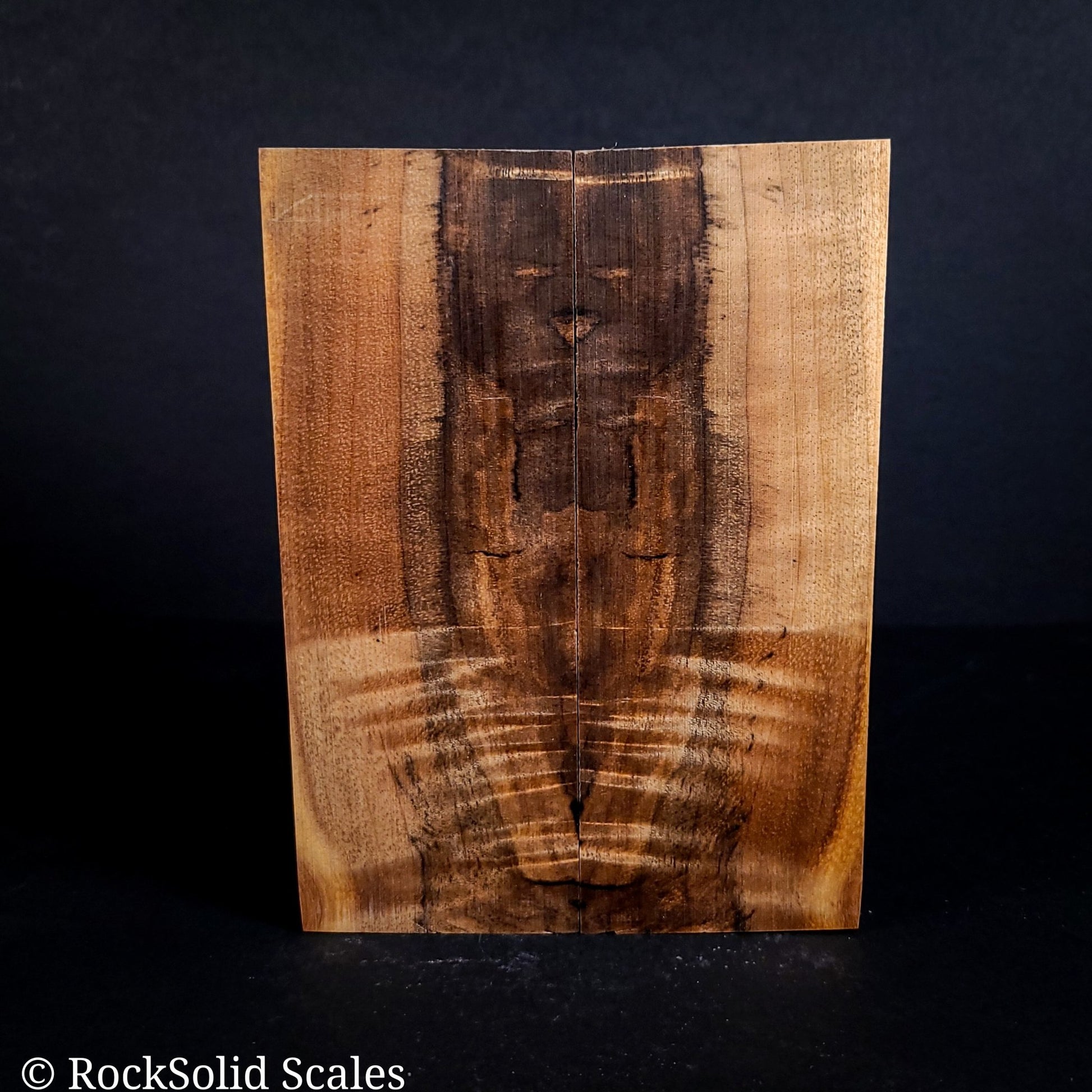 #2139 - Curly, Spalted Myrtle - K&G Stabilized - RockSolid Scales -