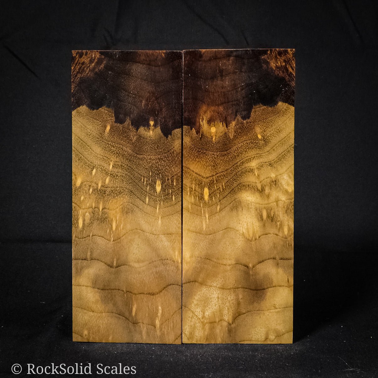 #2170 - Spalted Myrtle Burl - RockSolid Scales -