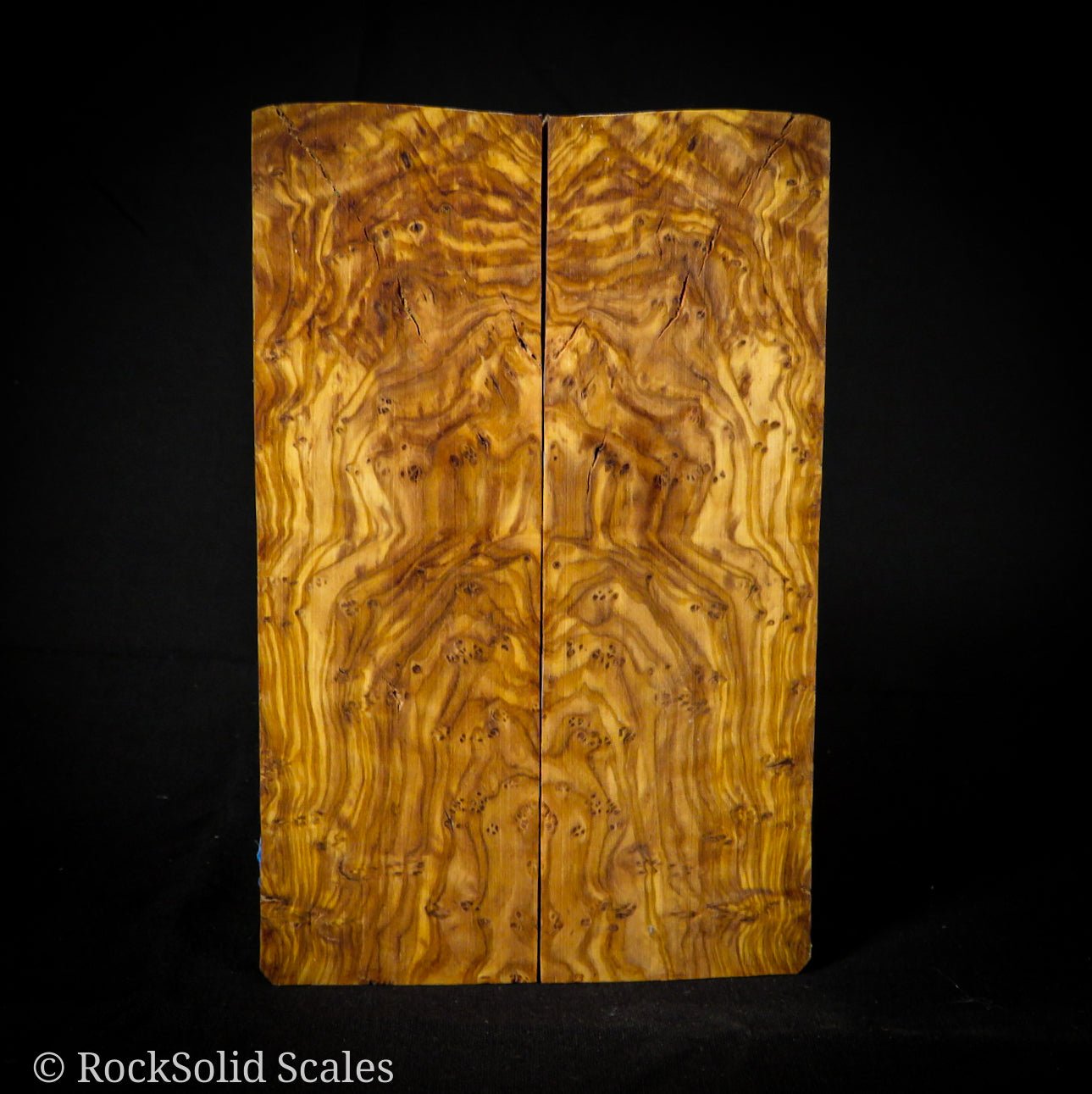 #2234 - Olive Burl - RockSolid Scales -