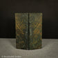 #2301 - Blue Dyed Curly Redwood - Bargain Bin - RockSolid Scales -