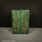 #2307 - Teal Curly Mango - RockSolid Scales -