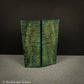 #2307 - Teal Curly Mango - RockSolid Scales -