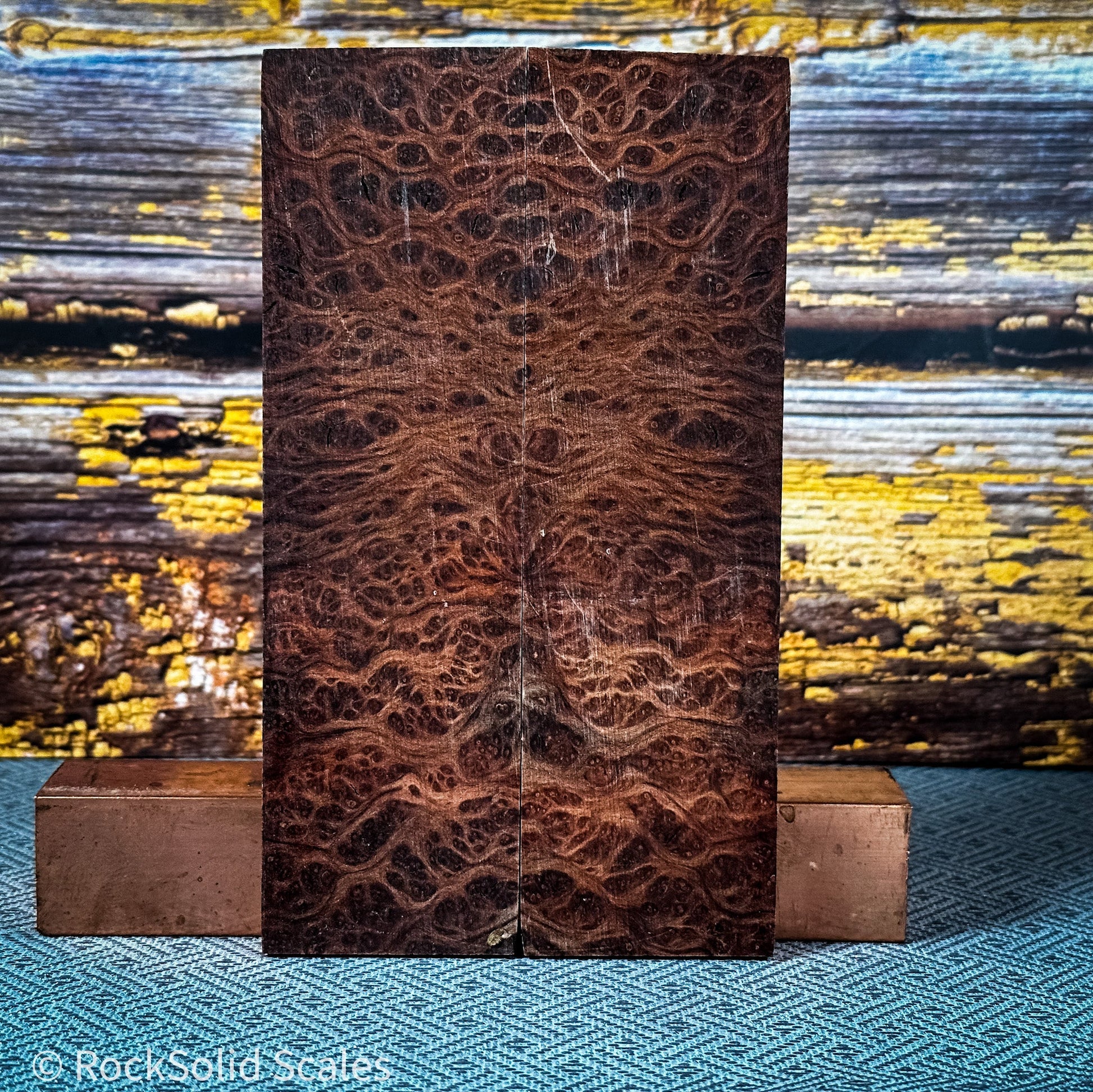 #2326 - Orange and Black Double Dyed Redwood Lace Burl - RockSolid Scales -