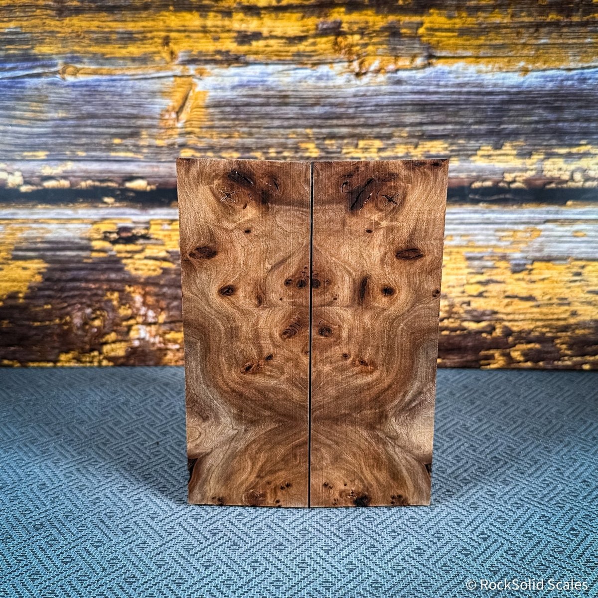 #2424 - Red Elm Burl - RockSolid Scales -
