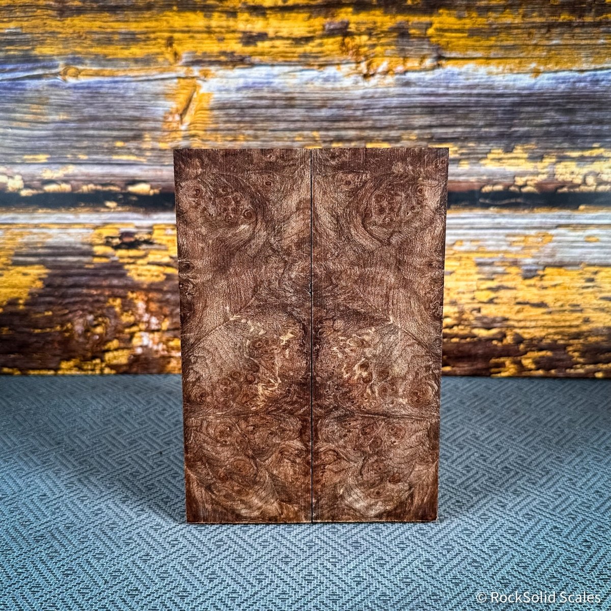 #2428 - Maple Burl - RockSolid Scales -