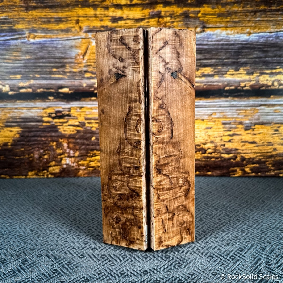 #2455 - Masur Birch - RockSolid Scales -