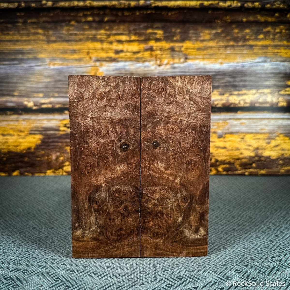 #2489 - Maple Burl - RockSolid Scales -