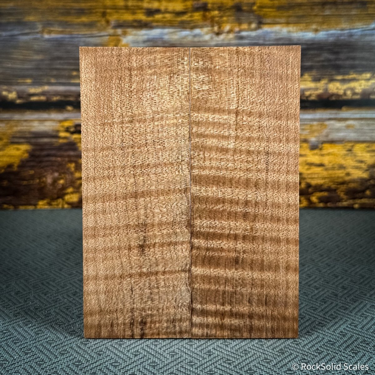 #2504 - Curly Maple - RockSolid Scales -