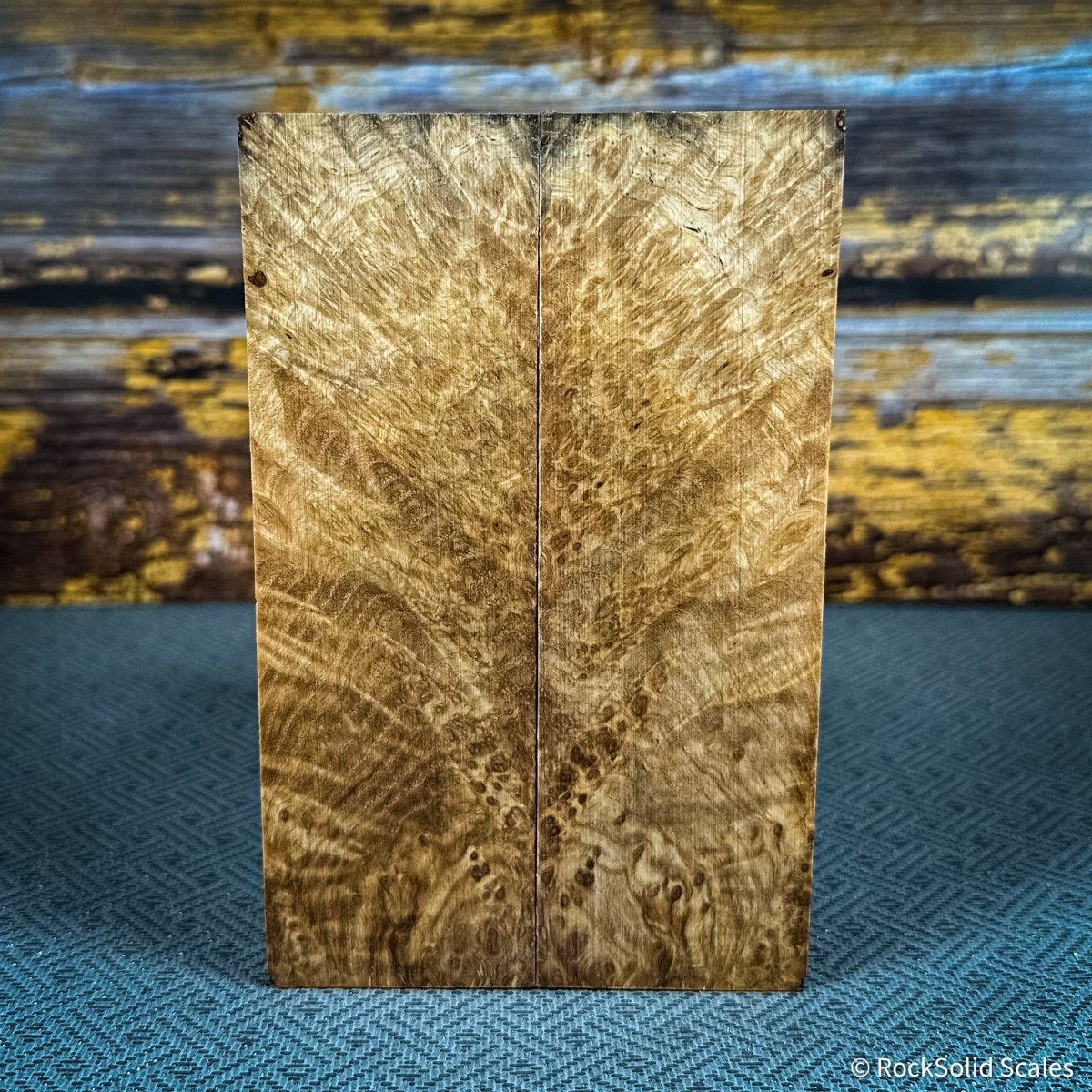 #2505 - Black Ash Burl - RockSolid Scales -