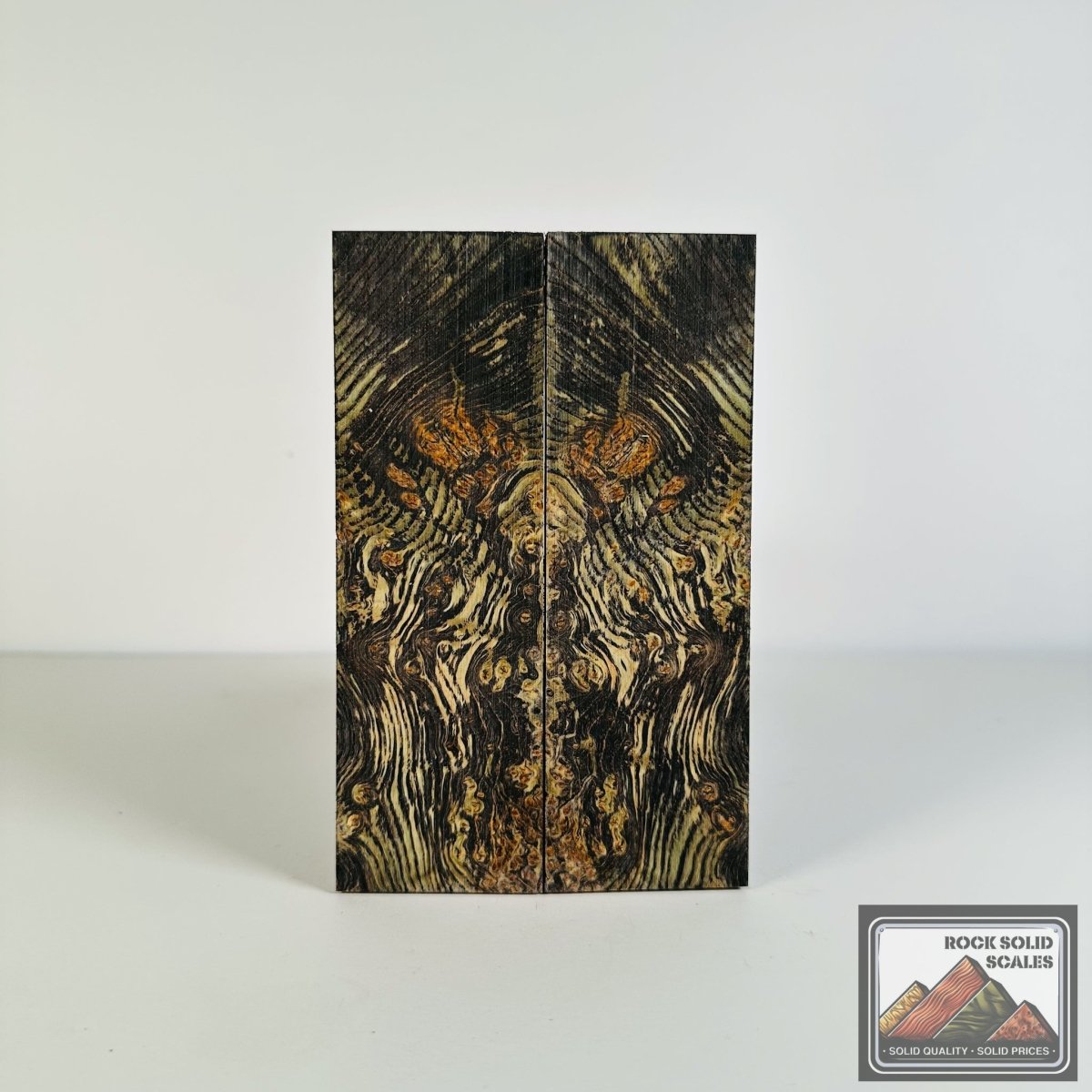 #2665 - Black and Teal Black Ash Burl - RockSolid Scales -