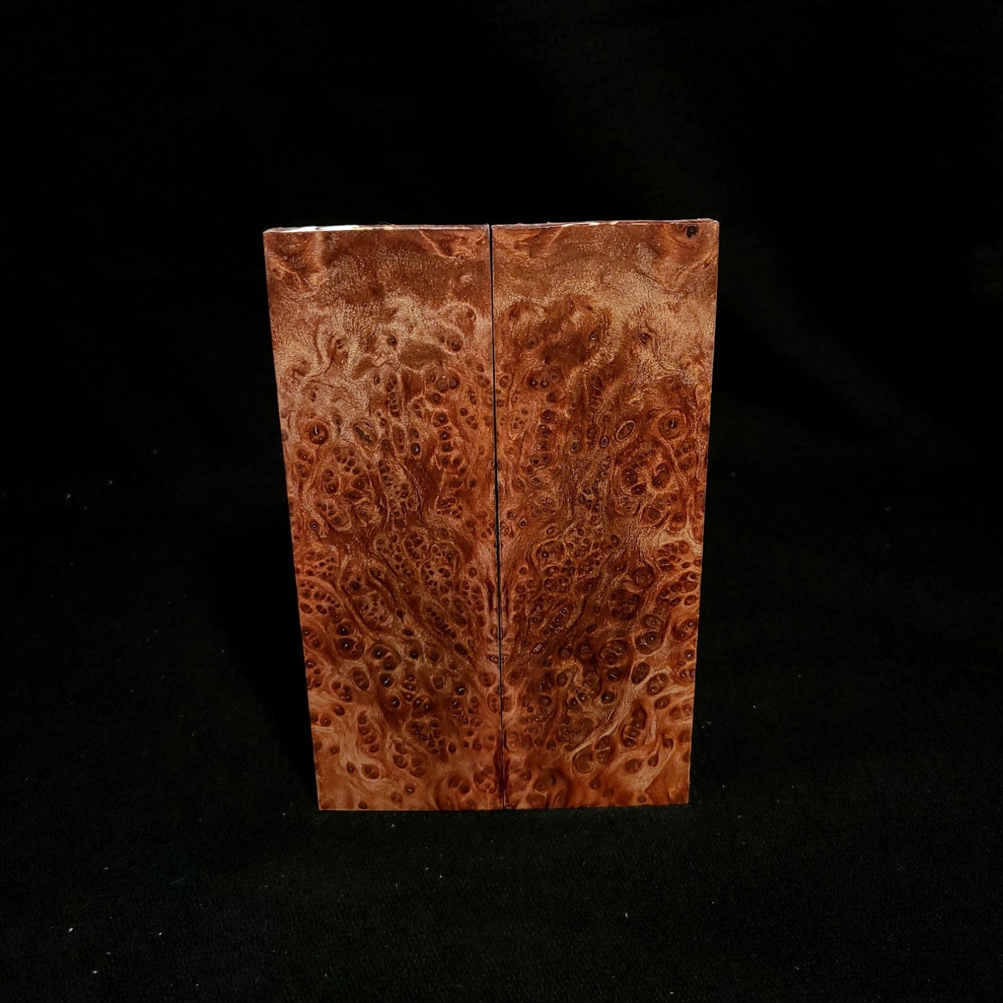 #787 - NEUROTIC Redwood Burl - K&G Stabilized - RockSolid Scales -