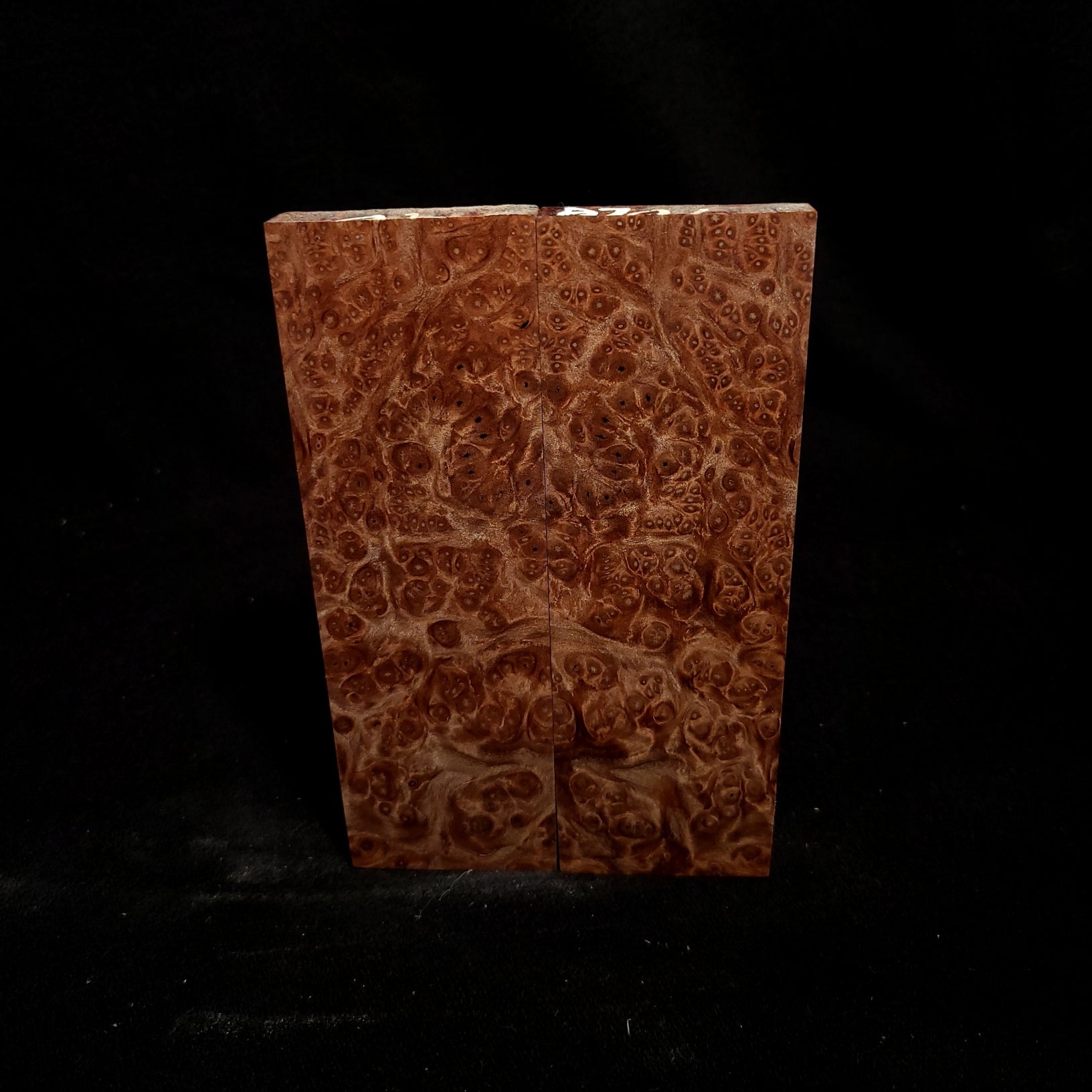 #809 - Redwood Lace Burl - K&G Stabilized - RockSolid Scales -